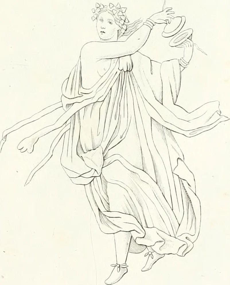 An illustration from Collection of the most remarkable monuments of the National Museum, 1869, leaf 364