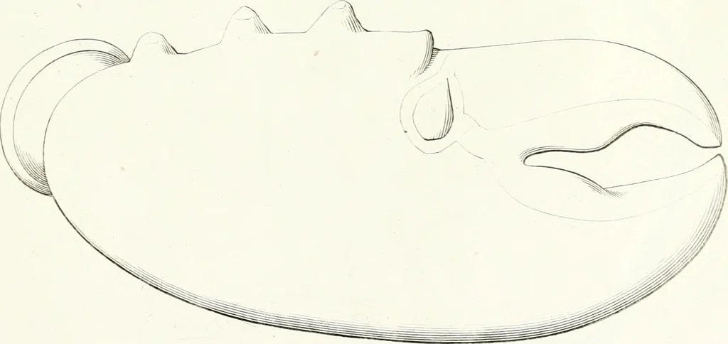 An illustration from Collection of the most remarkable monuments of the National Museum, 1869, leaf 440