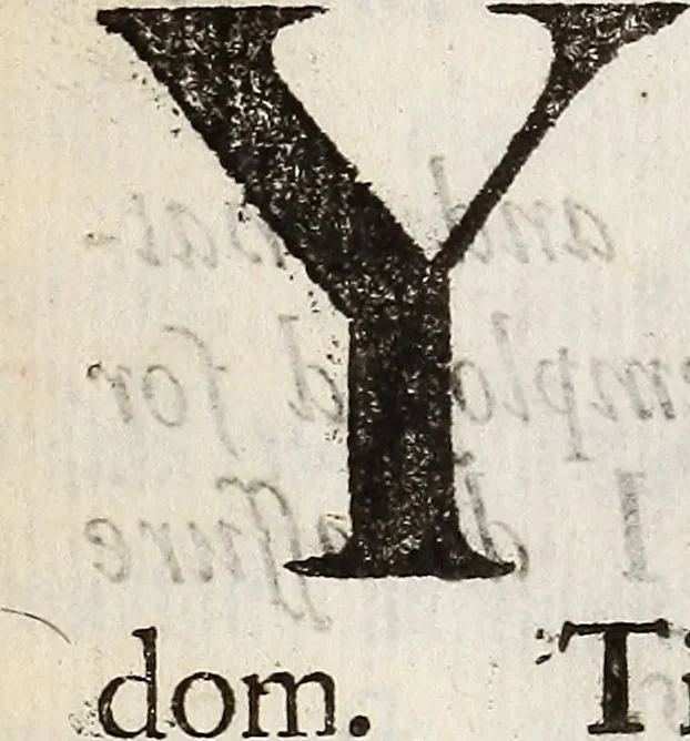 An illustration from A collection of papers relating to the present juncture of affairs in England .., 1688, leaf 453