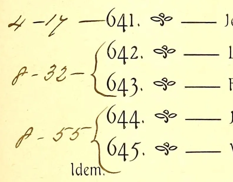 An illustration from Collection of Pierre Barboutau arts de'extreme orient, 1904, leaf 123