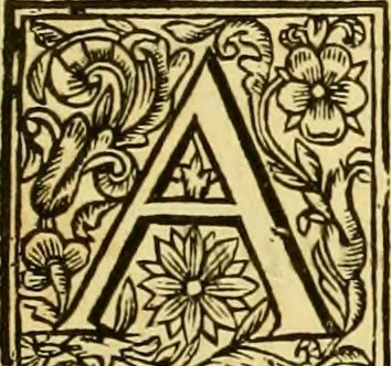 An illustration from A collection of several philosophical writings of Dr. Henry More, 1662, leaf 246