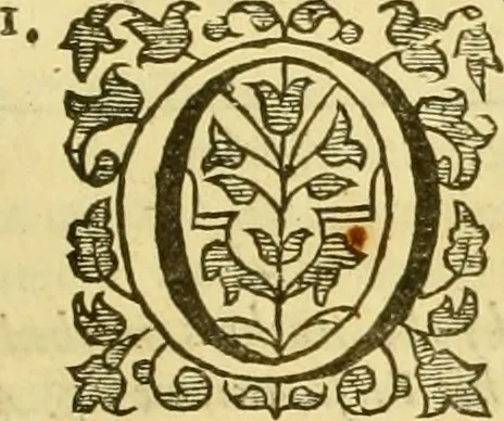 An illustration from A collection of several philosophical writings of Dr. Henry More, 1662, leaf 400