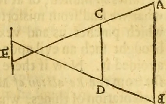 An illustration from A collection of several philosophical writings of Dr. Henry More, 1662, leaf 454