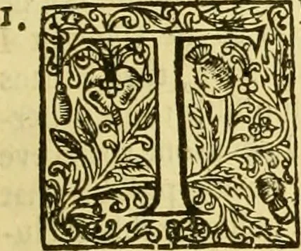 An illustration from A collection of several philosophical writings of Dr. Henry More, 1662, leaf 50
