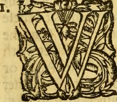 An illustration from A collection of several philosophical writings of Dr. Henry More, 1662, leaf 530