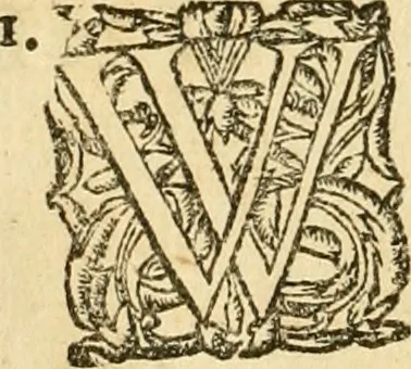 An illustration from A collection of several philosophical writings of Dr. Henry More, 1662, leaf 643