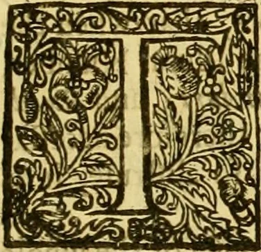 An illustration from A collection of several philosophical writings of Dr. Henry More, 1662, leaf 694