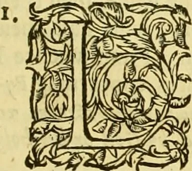 An illustration from A collection of several philosophical writings of Dr. Henry More, 1662, leaf 736