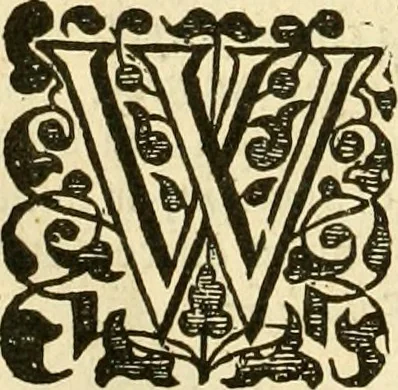An illustration from A collection of several philosophical writings of Dr. Henry More, 1662, leaf 789