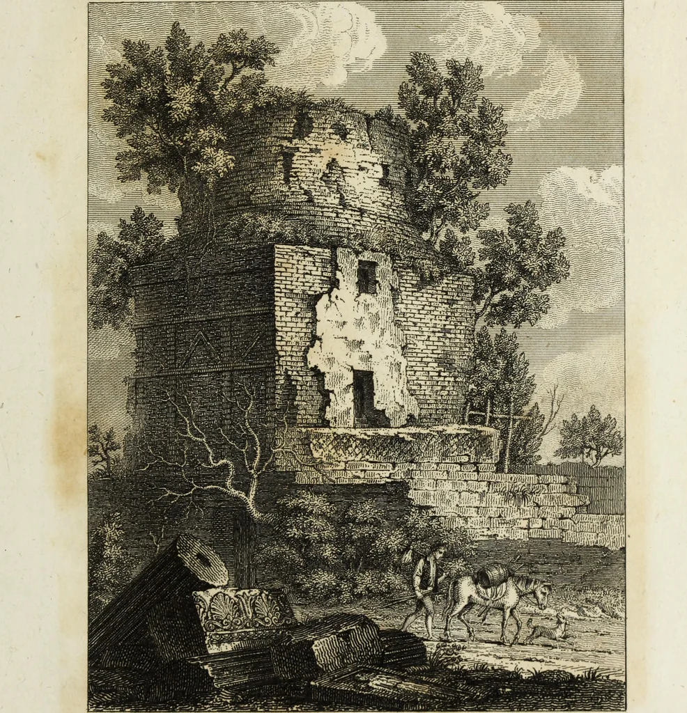 An illustration from A collection of vases, altars, paterae, tripods, candelabra sarcophagi, &c. from various museums and collections : engraved on 170 plates, 1814, leaf 310