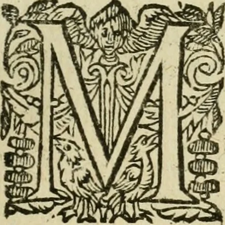 An illustration from Collection ov recveil de divers traictez mathematiqves. A sçauoir; d'arithmetiqve, d'algebre, de la solution de diuers problemes & questions, tant geometriques, qu'astronomiques. Comme aussi de plusieurs moyens pour mesurer toutes sortes de quantitez, soient lignes, superficies & corps. Item, de la sphere du monde, auec l'vsage & pratique tant de l'astrolabe, du quarré geometrique, & des globes, que du compas de proportion: et encore de la construction des fortifications practiquées aux Pays Bas, 1621, leaf 246