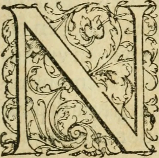 An illustration from Collection ov recveil de divers traictez mathematiqves. A sçauoir; d'arithmetiqve, d'algebre, de la solution de diuers problemes & questions, tant geometriques, qu'astronomiques. Comme aussi de plusieurs moyens pour mesurer toutes sortes de quantitez, soient lignes, superficies & corps. Item, de la sphere du monde, auec l'vsage & pratique tant de l'astrolabe, du quarré geometrique, & des globes, que du compas de proportion: et encore de la construction des fortifications practiquées aux Pays Bas, 1621, leaf 248