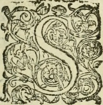 An illustration from Collection ov recveil de divers traictez mathematiqves. A sçauoir; d'arithmetiqve, d'algebre, de la solution de diuers problemes & questions, tant geometriques, qu'astronomiques. Comme aussi de plusieurs moyens pour mesurer toutes sortes de quantitez, soient lignes, superficies & corps. Item, de la sphere du monde, auec l'vsage & pratique tant de l'astrolabe, du quarré geometrique, & des globes, que du compas de proportion: et encore de la construction des fortifications practiquées aux Pays Bas, 1621, leaf 364