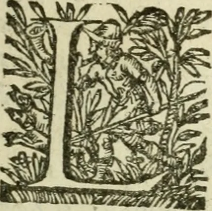 An illustration from Collection ov recveil de divers traictez mathematiqves. A sçauoir; d'arithmetiqve, d'algebre, de la solution de diuers problemes & questions, tant geometriques, qu'astronomiques. Comme aussi de plusieurs moyens pour mesurer toutes sortes de quantitez, soient lignes, superficies & corps. Item, de la sphere du monde, auec l'vsage & pratique tant de l'astrolabe, du quarré geometrique, & des globes, que du compas de proportion: et encore de la construction des fortifications practiquées aux Pays Bas, 1621, leaf 366