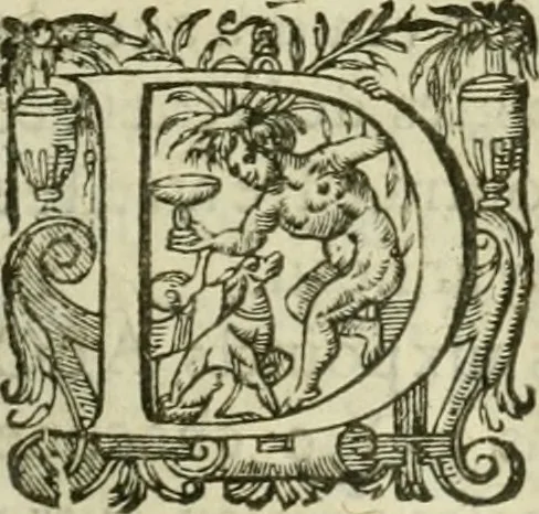 An illustration from Collection ov recveil de divers traictez mathematiqves. A sçauoir; d'arithmetiqve, d'algebre, de la solution de diuers problemes & questions, tant geometriques, qu'astronomiques. Comme aussi de plusieurs moyens pour mesurer toutes sortes de quantitez, soient lignes, superficies & corps. Item, de la sphere du monde, auec l'vsage & pratique tant de l'astrolabe, du quarré geometrique, & des globes, que du compas de proportion: et encore de la construction des fortifications practiquées aux Pays Bas, 1621, leaf 378