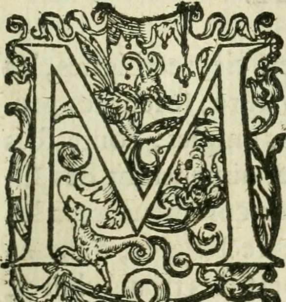 An illustration from Collection ov recveil de divers traictez mathematiqves. A sçauoir; d'arithmetiqve, d'algebre, de la solution de diuers problemes & questions, tant geometriques, qu'astronomiques. Comme aussi de plusieurs moyens pour mesurer toutes sortes de quantitez, soient lignes, superficies & corps. Item, de la sphere du monde, auec l'vsage & pratique tant de l'astrolabe, du quarré geometrique, & des globes, que du compas de proportion: et encore de la construction des fortifications practiquées aux Pays Bas, 1621, leaf 396