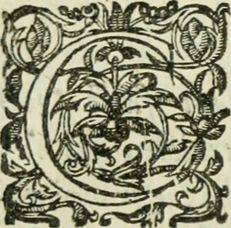 An illustration from Collection ov recveil de divers traictez mathematiqves. A sçauoir; d'arithmetiqve, d'algebre, de la solution de diuers problemes & questions, tant geometriques, qu'astronomiques. Comme aussi de plusieurs moyens pour mesurer toutes sortes de quantitez, soient lignes, superficies & corps. Item, de la sphere du monde, auec l'vsage & pratique tant de l'astrolabe, du quarré geometrique, & des globes, que du compas de proportion: et encore de la construction des fortifications practiquées aux Pays Bas, 1621, leaf 397