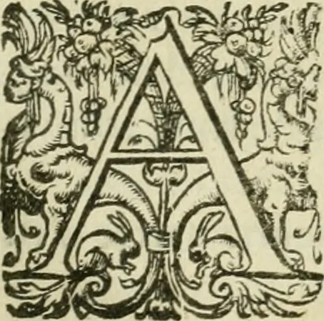 An illustration from Collection ov recveil de divers traictez mathematiqves. A sçauoir; d'arithmetiqve, d'algebre, de la solution de diuers problemes & questions, tant geometriques, qu'astronomiques. Comme aussi de plusieurs moyens pour mesurer toutes sortes de quantitez, soient lignes, superficies & corps. Item, de la sphere du monde, auec l'vsage & pratique tant de l'astrolabe, du quarré geometrique, & des globes, que du compas de proportion: et encore de la construction des fortifications practiquées aux Pays Bas, 1621, leaf 576