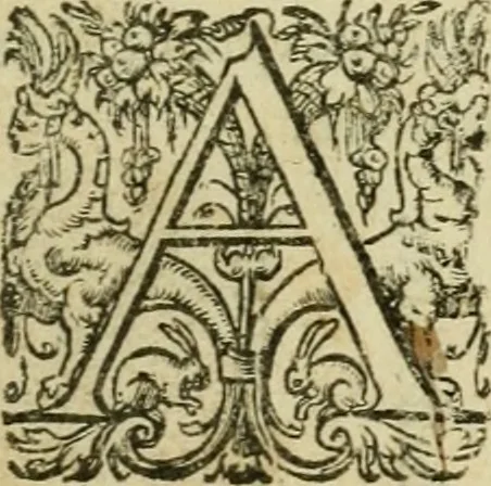 An illustration from Collection ov recveil de divers traictez mathematiqves. A sçauoir; d'arithmetiqve, d'algebre, de la solution de diuers problemes & questions, tant geometriques, qu'astronomiques. Comme aussi de plusieurs moyens pour mesurer toutes sortes de quantitez, soient lignes, superficies & corps. Item, de la sphere du monde, auec l'vsage & pratique tant de l'astrolabe, du quarré geometrique, & des globes, que du compas de proportion: et encore de la construction des fortifications practiquées aux Pays Bas, 1621, leaf 6