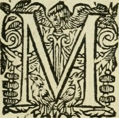An illustration from Collection ov recveil de divers traictez mathematiqves. A sçauoir; d'arithmetiqve, d'algebre, de la solution de diuers problemes & questions, tant geometriques, qu'astronomiques. Comme aussi de plusieurs moyens pour mesurer toutes sortes de quantitez, soient lignes, superficies & corps. Item, de la sphere du monde, auec l'vsage & pratique tant de l'astrolabe, du quarré geometrique, & des globes, que du compas de proportion: et encore de la construction des fortifications practiquées aux Pays Bas, 1621, leaf 636