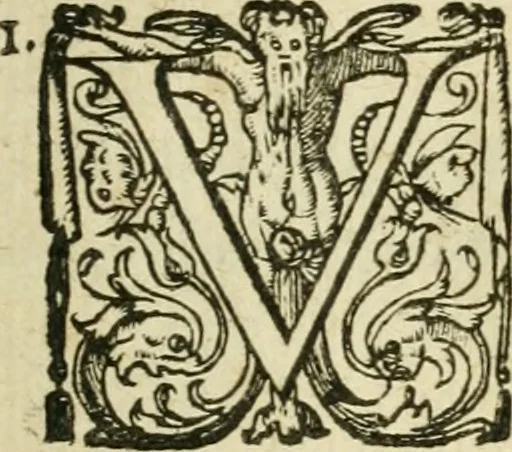 An illustration from Collection ov recveil de divers traictez mathematiqves. A sçauoir; d'arithmetiqve, d'algebre, de la solution de diuers problemes & questions, tant geometriques, qu'astronomiques. Comme aussi de plusieurs moyens pour mesurer toutes sortes de quantitez, soient lignes, superficies & corps. Item, de la sphere du monde, auec l'vsage & pratique tant de l'astrolabe, du quarré geometrique, & des globes, que du compas de proportion: et encore de la construction des fortifications practiquées aux Pays Bas, 1621, leaf 638