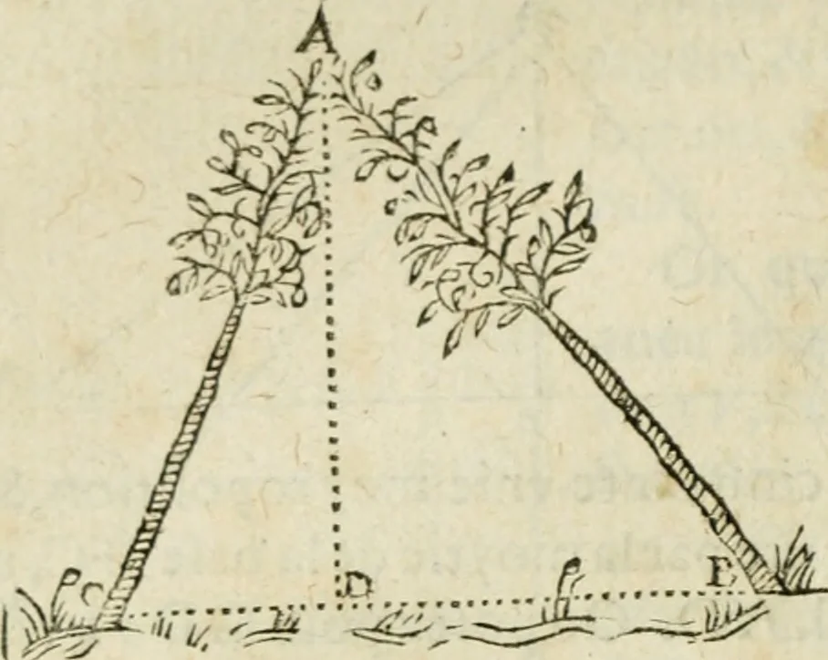 An illustration from Collection ov recveil de divers traictez mathematiqves. A sçauoir; d'arithmetiqve, d'algebre, de la solution de diuers problemes & questions, tant geometriques, qu'astronomiques. Comme aussi de plusieurs moyens pour mesurer toutes sortes de quantitez, soient lignes, superficies & corps. Item, de la sphere du monde, auec l'vsage & pratique tant de l'astrolabe, du quarré geometrique, & des globes, que du compas de proportion: et encore de la construction des fortifications practiquées aux Pays Bas, 1621, leaf 661