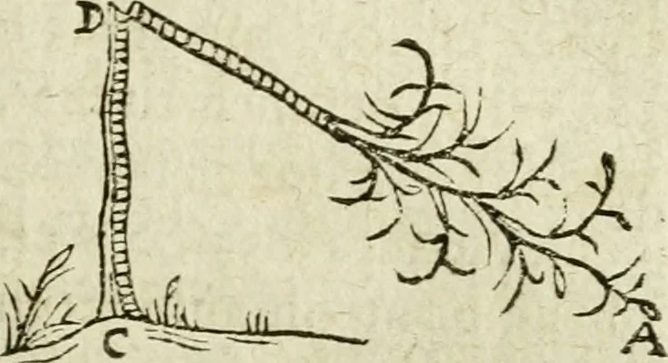 An illustration from Collection ov recveil de divers traictez mathematiqves. A sçauoir; d'arithmetiqve, d'algebre, de la solution de diuers problemes & questions, tant geometriques, qu'astronomiques. Comme aussi de plusieurs moyens pour mesurer toutes sortes de quantitez, soient lignes, superficies & corps. Item, de la sphere du monde, auec l'vsage & pratique tant de l'astrolabe, du quarré geometrique, & des globes, que du compas de proportion: et encore de la construction des fortifications practiquées aux Pays Bas, 1621, leaf 666