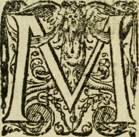 An illustration from Collection ov recveil de divers traictez mathematiqves. A sçauoir; d'arithmetiqve, d'algebre, de la solution de diuers problemes & questions, tant geometriques, qu'astronomiques. Comme aussi de plusieurs moyens pour mesurer toutes sortes de quantitez, soient lignes, superficies & corps. Item, de la sphere du monde, auec l'vsage & pratique tant de l'astrolabe, du quarré geometrique, & des globes, que du compas de proportion: et encore de la construction des fortifications practiquées aux Pays Bas, 1621, leaf 754