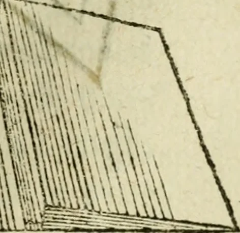 An illustration from Collection ov recveil de divers traictez mathematiqves. A sçauoir; d'arithmetiqve, d'algebre, de la solution de diuers problemes & questions, tant geometriques, qu'astronomiques. Comme aussi de plusieurs moyens pour mesurer toutes sortes de quantitez, soient lignes, superficies & corps. Item, de la sphere du monde, auec l'vsage & pratique tant de l'astrolabe, du quarré geometrique, & des globes, que du compas de proportion: et encore de la construction des fortifications practiquées aux Pays Bas, 1621, leaf 804
