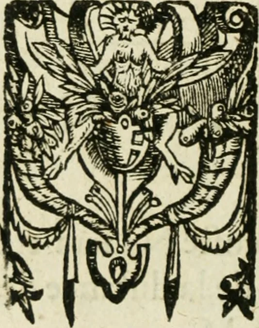 An illustration from Collection ov recveil de divers traictez mathematiqves. A sçauoir; d'arithmetiqve, d'algebre, de la solution de diuers problemes & questions, tant geometriques, qu'astronomiques. Comme aussi de plusieurs moyens pour mesurer toutes sortes de quantitez, soient lignes, superficies & corps. Item, de la sphere du monde, auec l'vsage & pratique tant de l'astrolabe, du quarré geometrique, & des globes, que du compas de proportion: et encore de la construction des fortifications practiquées aux Pays Bas, 1621, leaf 809