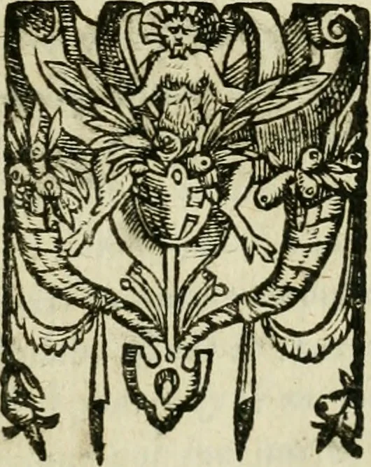 An illustration from Collection ov recveil de divers traictez mathematiqves. A sçauoir; d'arithmetiqve, d'algebre, de la solution de diuers problemes & questions, tant geometriques, qu'astronomiques. Comme aussi de plusieurs moyens pour mesurer toutes sortes de quantitez, soient lignes, superficies & corps. Item, de la sphere du monde, auec l'vsage & pratique tant de l'astrolabe, du quarré geometrique, & des globes, que du compas de proportion: et encore de la construction des fortifications practiquées aux Pays Bas, 1621, leaf 810