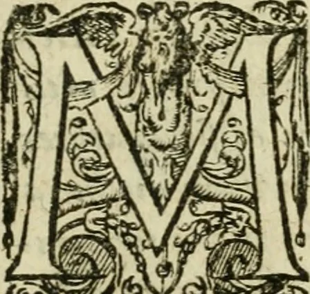 An illustration from Collection ov recveil de divers traictez mathematiqves. A sçauoir; d'arithmetiqve, d'algebre, de la solution de diuers problemes & questions, tant geometriques, qu'astronomiques. Comme aussi de plusieurs moyens pour mesurer toutes sortes de quantitez, soient lignes, superficies & corps. Item, de la sphere du monde, auec l'vsage & pratique tant de l'astrolabe, du quarré geometrique, & des globes, que du compas de proportion: et encore de la construction des fortifications practiquées aux Pays Bas, 1621, leaf 812