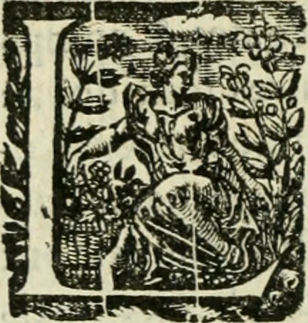 An illustration from Collection ov recveil de divers traictez mathematiqves. A sçauoir; d'arithmetiqve, d'algebre, de la solution de diuers problemes & questions, tant geometriques, qu'astronomiques. Comme aussi de plusieurs moyens pour mesurer toutes sortes de quantitez, soient lignes, superficies & corps. Item, de la sphere du monde, auec l'vsage & pratique tant de l'astrolabe, du quarré geometrique, & des globes, que du compas de proportion: et encore de la construction des fortifications practiquées aux Pays Bas, 1621, leaf 829