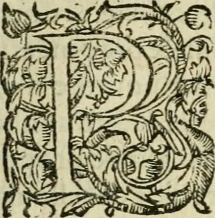 An illustration from Collection ov recveil de divers traictez mathematiqves. A sçauoir; d'arithmetiqve, d'algebre, de la solution de diuers problemes & questions, tant geometriques, qu'astronomiques. Comme aussi de plusieurs moyens pour mesurer toutes sortes de quantitez, soient lignes, superficies & corps. Item, de la sphere du monde, auec l'vsage & pratique tant de l'astrolabe, du quarré geometrique, & des globes, que du compas de proportion: et encore de la construction des fortifications practiquées aux Pays Bas, 1621, leaf 834