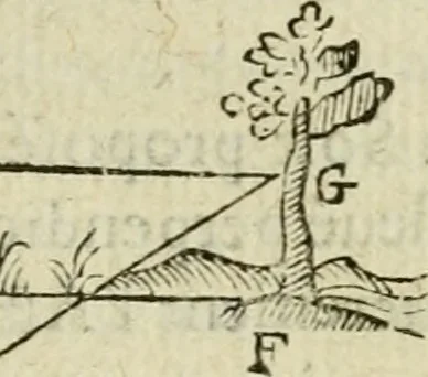 An illustration from Collection ov recveil de divers traictez mathematiqves. A sçauoir; d'arithmetiqve, d'algebre, de la solution de diuers problemes & questions, tant geometriques, qu'astronomiques. Comme aussi de plusieurs moyens pour mesurer toutes sortes de quantitez, soient lignes, superficies & corps. Item, de la sphere du monde, auec l'vsage & pratique tant de l'astrolabe, du quarré geometrique, & des globes, que du compas de proportion: et encore de la construction des fortifications practiquées aux Pays Bas, 1621, leaf 878