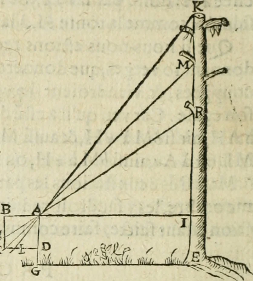 An illustration from Collection ov recveil de divers traictez mathematiqves. A sçauoir; d'arithmetiqve, d'algebre, de la solution de diuers problemes & questions, tant geometriques, qu'astronomiques. Comme aussi de plusieurs moyens pour mesurer toutes sortes de quantitez, soient lignes, superficies & corps. Item, de la sphere du monde, auec l'vsage & pratique tant de l'astrolabe, du quarré geometrique, & des globes, que du compas de proportion: et encore de la construction des fortifications practiquées aux Pays Bas, 1621, leaf 881