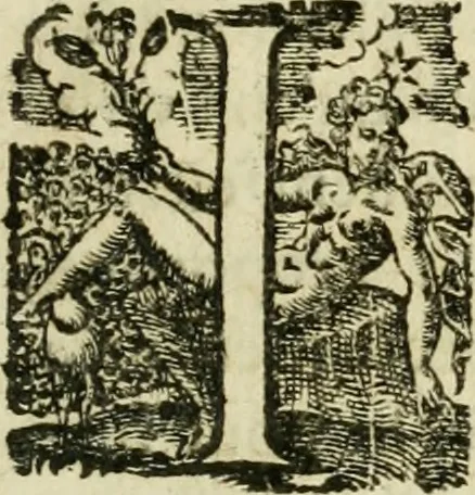 An illustration from Collection ov recveil de divers traictez mathematiqves. A sçauoir; d'arithmetiqve, d'algebre, de la solution de diuers problemes & questions, tant geometriques, qu'astronomiques. Comme aussi de plusieurs moyens pour mesurer toutes sortes de quantitez, soient lignes, superficies & corps. Item, de la sphere du monde, auec l'vsage & pratique tant de l'astrolabe, du quarré geometrique, & des globes, que du compas de proportion: et encore de la construction des fortifications practiquées aux Pays Bas, 1621, leaf 892