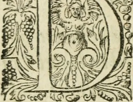 An illustration from Collection ov recveil de divers traictez mathematiqves. A sçauoir; d'arithmetiqve, d'algebre, de la solution de diuers problemes & questions, tant geometriques, qu'astronomiques. Comme aussi de plusieurs moyens pour mesurer toutes sortes de quantitez, soient lignes, superficies & corps. Item, de la sphere du monde, auec l'vsage & pratique tant de l'astrolabe, du quarré geometrique, & des globes, que du compas de proportion: et encore de la construction des fortifications practiquées aux Pays Bas, 1621, leaf 893