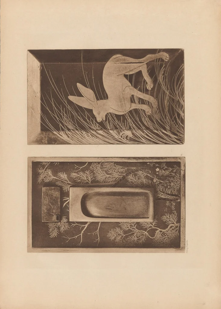 An illustration from Collection S. Bing. : Objets d'art et peintures du Japon et de la Chine dont la vente aura lieu du lundi 7 au samedi 12 mai 1906 inclus dans les galeries de MM. Durand-Ruel, 1906, leaf 13