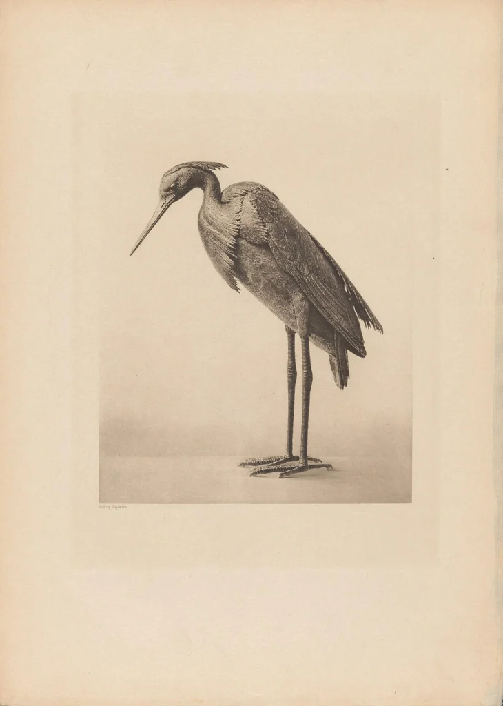 An illustration from Collection S. Bing. : Objets d'art et peintures du Japon et de la Chine dont la vente aura lieu du lundi 7 au samedi 12 mai 1906 inclus dans les galeries de MM. Durand-Ruel, 1906, leaf 33