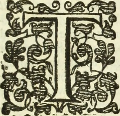 An illustration from Collections of travels through Turkey into Persia, and the East-Indies : Giving an account of the present state of those countries ..., 1684, leaf 1008