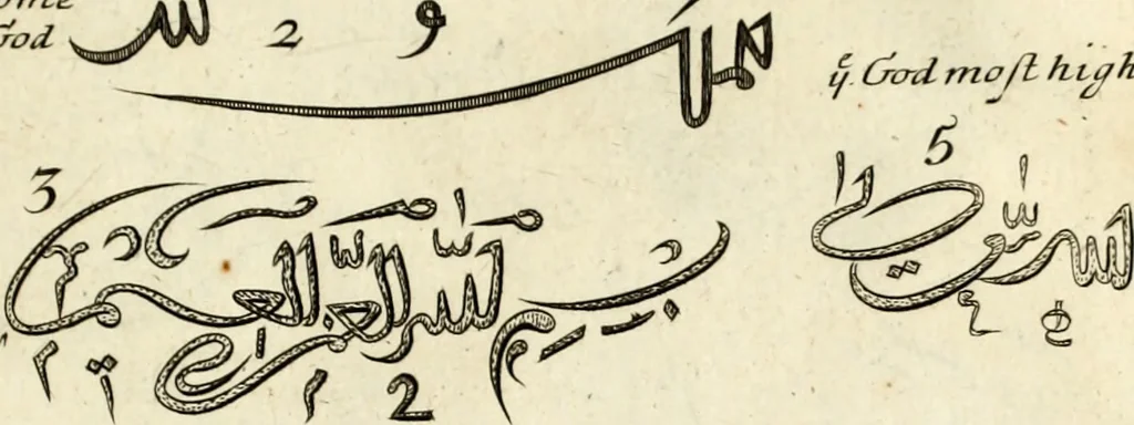 An illustration from Collections of travels through Turkey into Persia, and the East-Indies : Giving an account of the present state of those countries ..., 1684, leaf 212