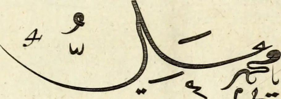 An illustration from Collections of travels through Turkey into Persia, and the East-Indies : Giving an account of the present state of those countries ..., 1684, leaf 212