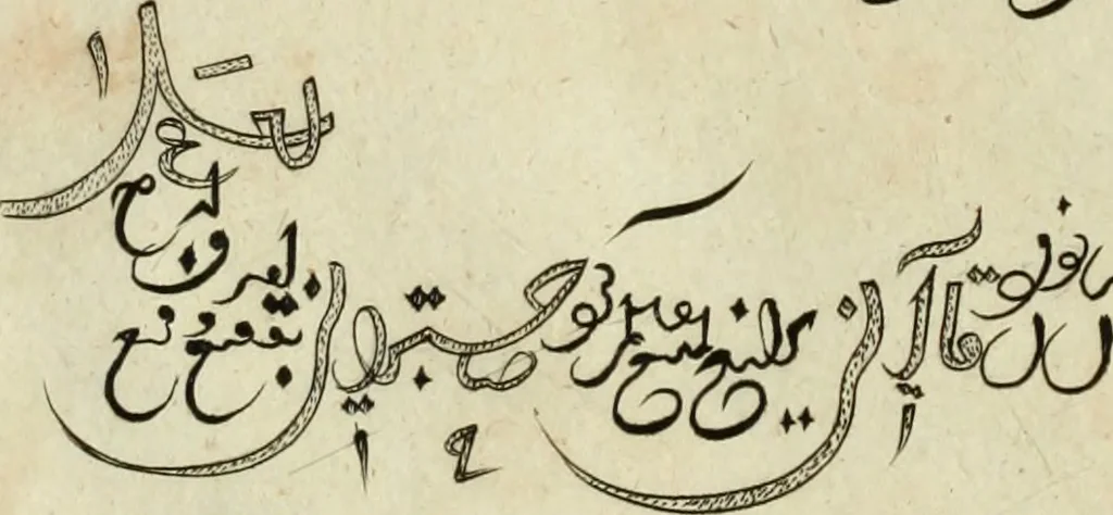 An illustration from Collections of travels through Turkey into Persia, and the East-Indies : Giving an account of the present state of those countries ..., 1684, leaf 215
