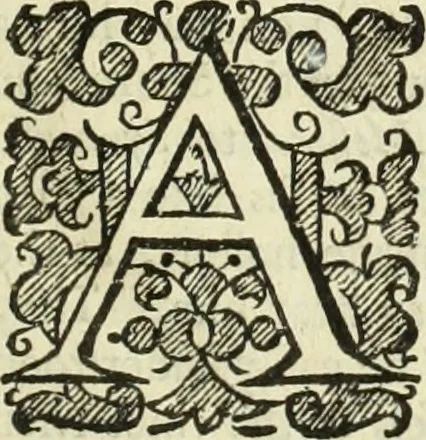 An illustration from Collections of travels through Turkey into Persia, and the East-Indies : Giving an account of the present state of those countries ..., 1684, leaf 24
