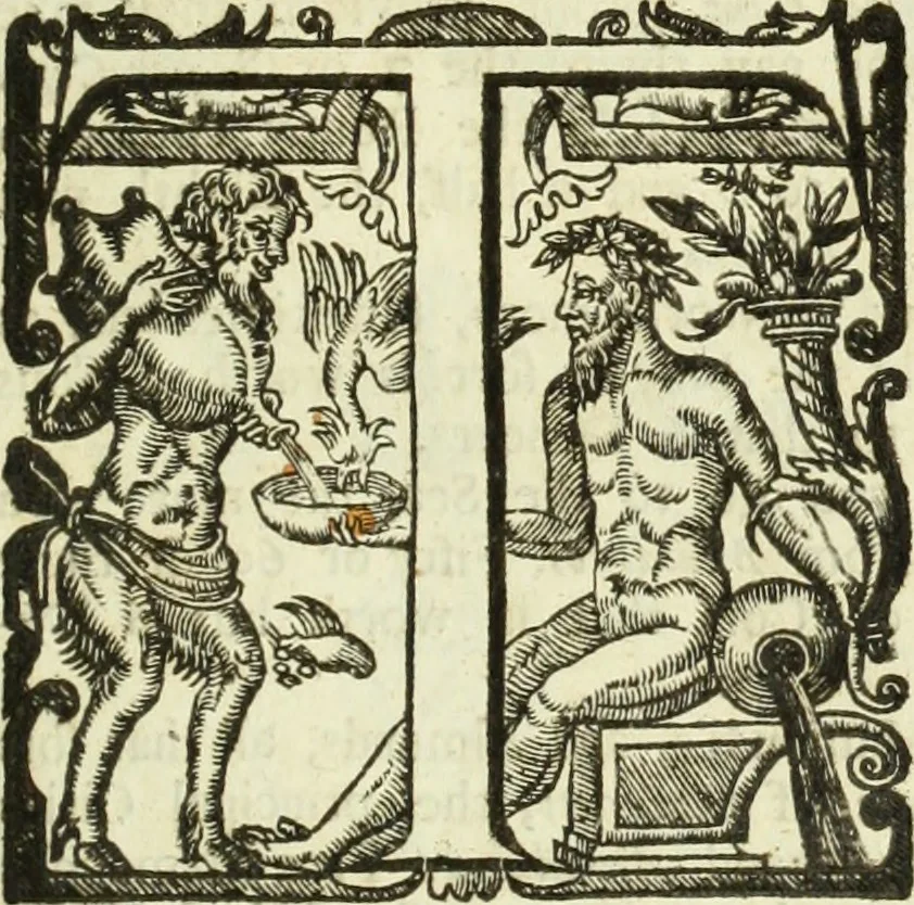 An illustration from Collections of travels through Turkey into Persia, and the East-Indies : Giving an account of the present state of those countries ..., 1684, leaf 298