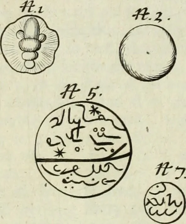 An illustration from Collections of travels through Turkey into Persia, and the East-Indies : Giving an account of the present state of those countries ..., 1684, leaf 305