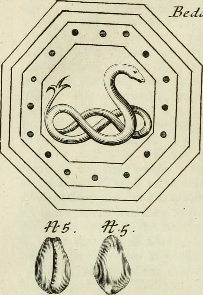 An illustration from Collections of travels through Turkey into Persia, and the East-Indies : Giving an account of the present state of those countries ..., 1684, leaf 309