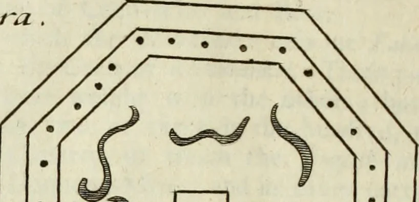 An illustration from Collections of travels through Turkey into Persia, and the East-Indies : Giving an account of the present state of those countries ..., 1684, leaf 309