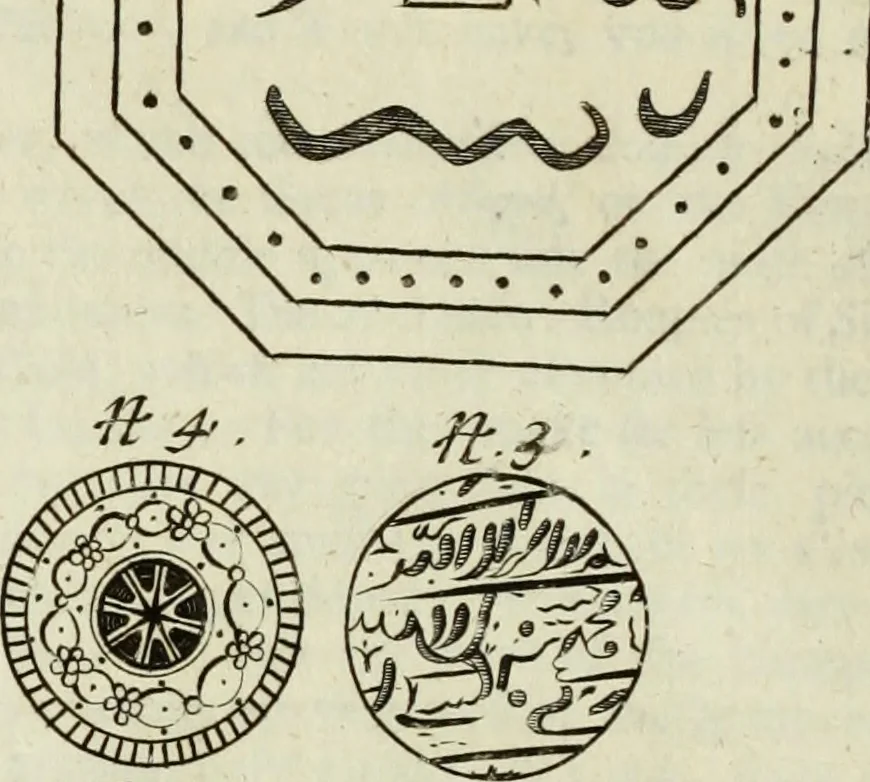 An illustration from Collections of travels through Turkey into Persia, and the East-Indies : Giving an account of the present state of those countries ..., 1684, leaf 309